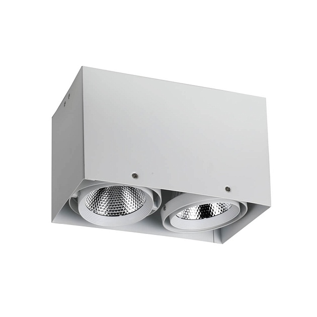 Потолочный светодиодный светильник Favourite Flashled 1986-2U изображение Потолочный светодиодный светильник Favourite Flashled 1986-2U Фото №