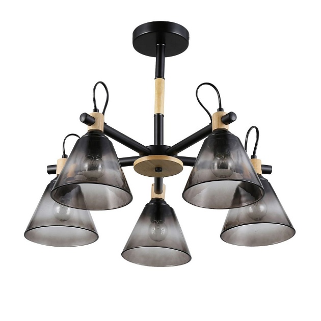 Потолочная люстра Rivoli Elmira 9117-305 Б0053432 Фото № 