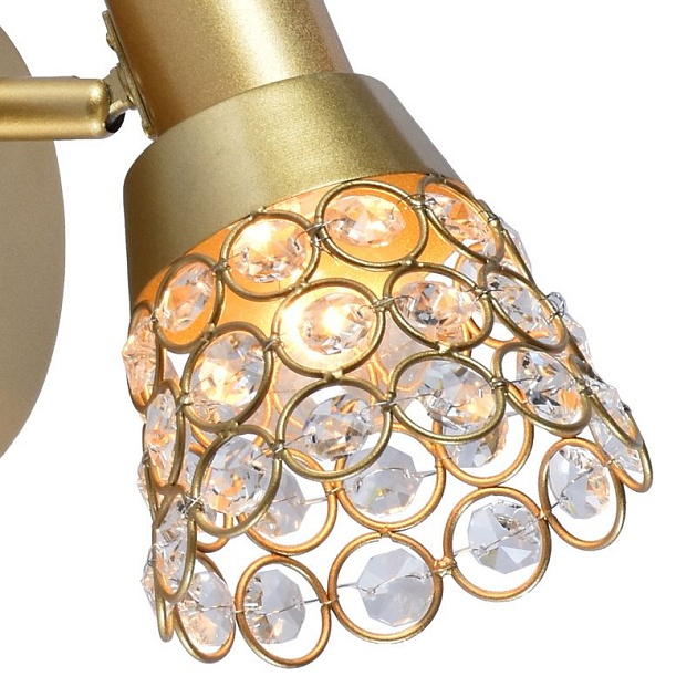 Спот Reluce 05954-0.8-01 Gold Фото № 2