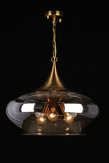 Подвесная люстра Aployt Franko APL.601.16.03 изображение 5 Подвесная люстра Aployt Franko APL.601.16.03 Фото № 5