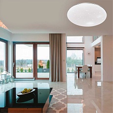 Настенно-потолочный светодиодный светильник Sonex Pale Abasi 2052/CL 1