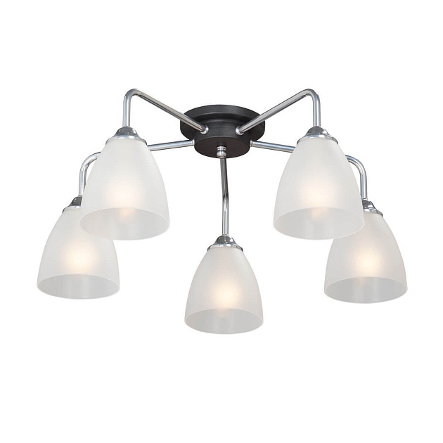 Потолочная люстра Vitaluce V4500-9/5PL изображение Потолочная люстра Vitaluce V4500-9/5PL Фото №