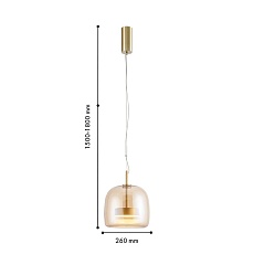 Подвесной светодиодный светильник Favourite Reflex 4235-1P 1