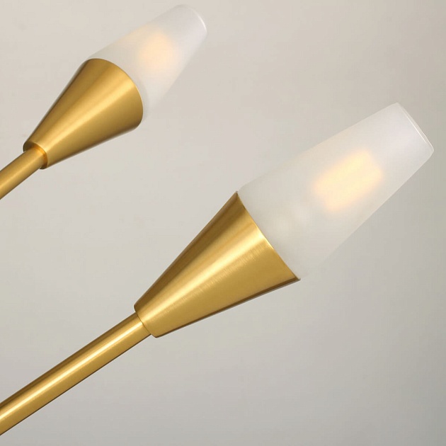 Подвесная люстра Favourite Incognita 2565-6P изображение 4 Подвесная люстра Favourite Incognita 2565-6P Фото № 4