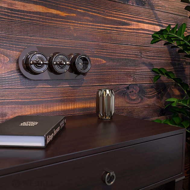 Переключатель-выключатель Werkel одноклавишный Retro коричневый W5612014 4690389166723 Фото № 4