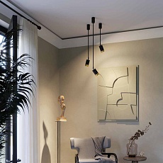 Подвесной светильник Odeon Light Ad Astrum 4349/1C 1