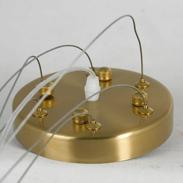 Подвесная люстра Lussole Lauderdale LSP-8599 Фото № 5