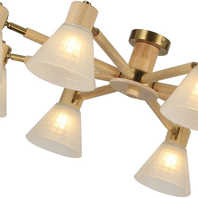 Потолочная люстра Arte Lamp Meleph A4096PL-8BR изображение 5 Потолочная люстра Arte Lamp Meleph A4096PL-8BR Фото № 5