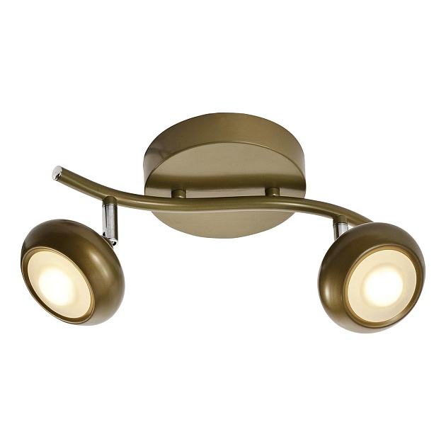 Светодиодный спот Toplight Carissa TL1244Y-02SG изображение Светодиодный спот Toplight Carissa TL1244Y-02SG Фото №