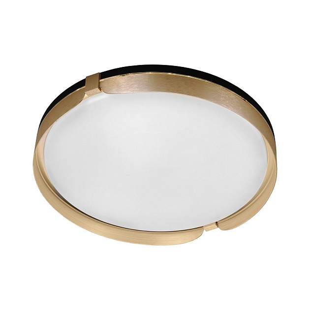 Потолочный светодиодный светильник Gerhort G61240/1GD WT Фото № 