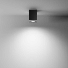 Потолочный светильник Maytoni Alfa C017CL-01B 1