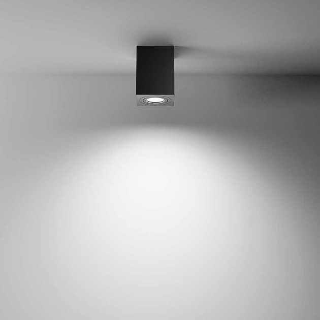 Потолочный светильник Maytoni Alfa C017CL-01B Фото № 2