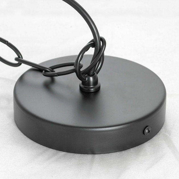 Подвесная люстра Lussole Loft CARROLLTON LSP-8735 изображение 3 Подвесная люстра Lussole Loft CARROLLTON LSP-8735 Фото № 3