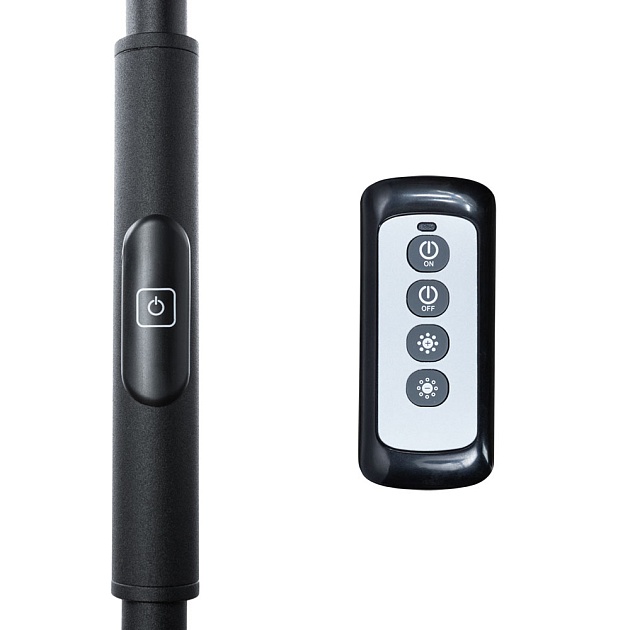 Торшер Arte Lamp Sceptrum A1822PN-1BK Фото № 2