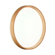 Настенно-потолочный светильник Sonex GARI WOOD 7684/DL 1