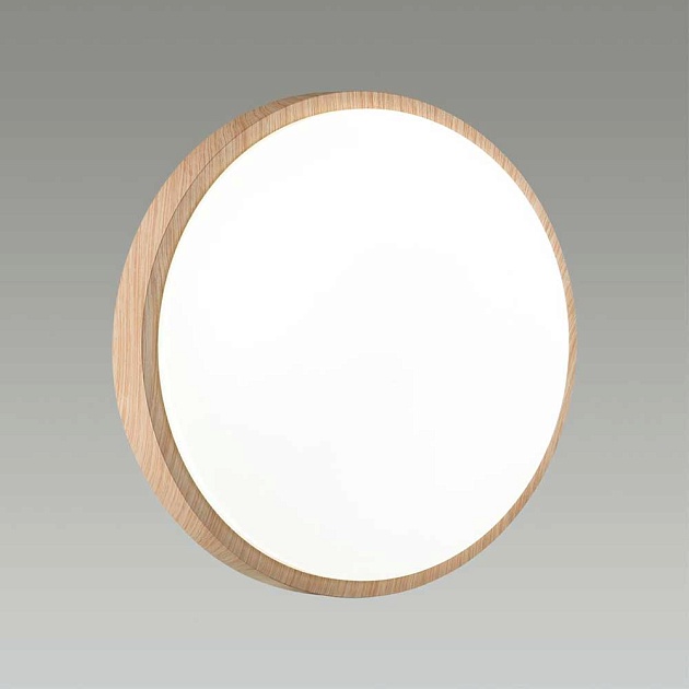 Настенно-потолочный светодиодный светильник Sonex Losta 7607/AL изображение 3 Настенно-потолочный светодиодный светильник Sonex Losta 7607/AL Фото № 3