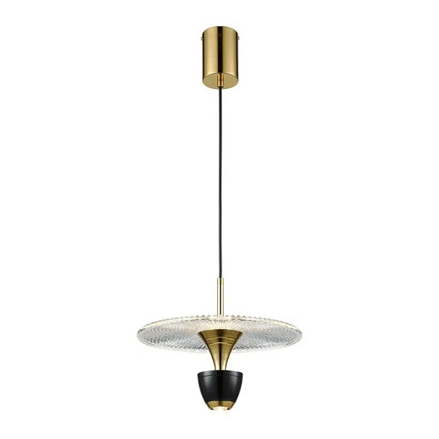 Подвесной светодиодный светильник Wertmark EBBO WE471.02.366 Фото № 