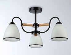 Потолочная люстра Ambrella light Traditional Modern TR3033241 4