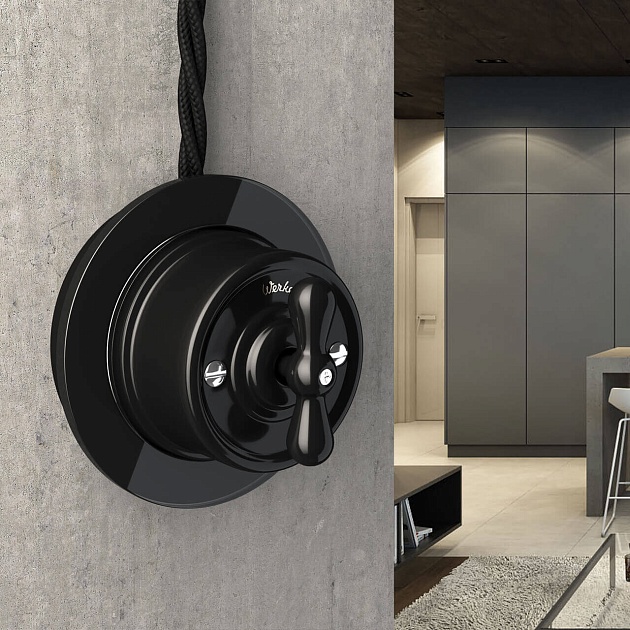 Переключатель-выключатель Werkel одноклавишный Retro черный W5612008 4690389166716 изображение 2 Переключатель-выключатель Werkel одноклавишный Retro черный W5612008 4690389166716 Фото № 2