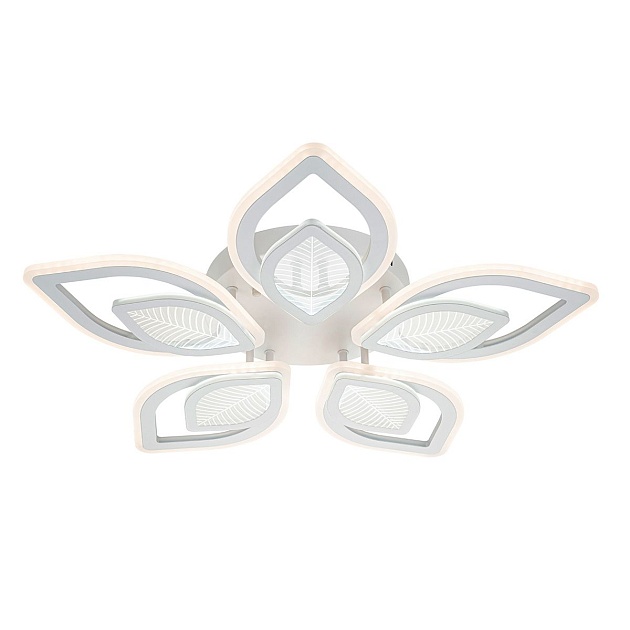 Потолочная светодиодная люстра Escada Anise 10288/10LED изображение 4 Потолочная светодиодная люстра Escada Anise 10288/10LED Фото № 4