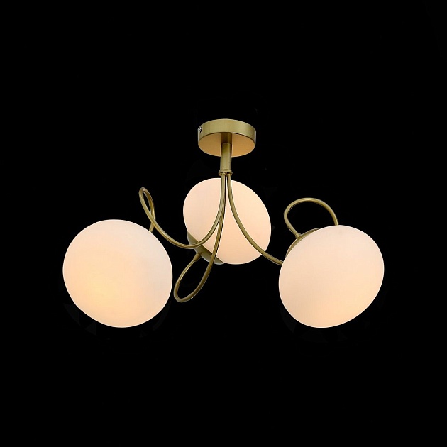 Потолочная люстра Evoluce Acini SL717.202.03 Фото № 3