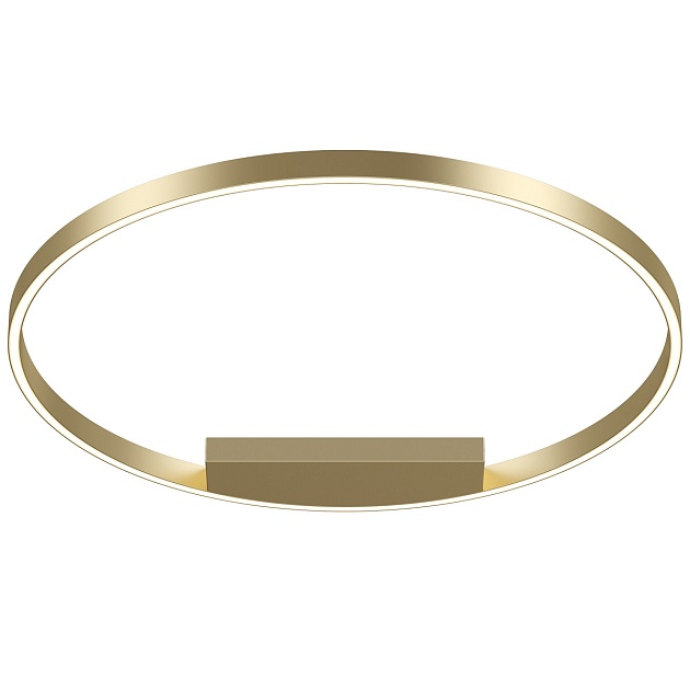 Потолочный светодиодный светильник Maytoni Rim MOD058CL-L50BSK Фото № 