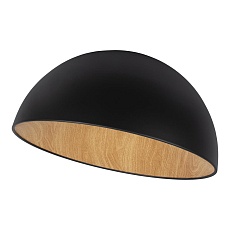 Потолочный светодиодный светильник Loft IT Egg 10197/500 Black 3