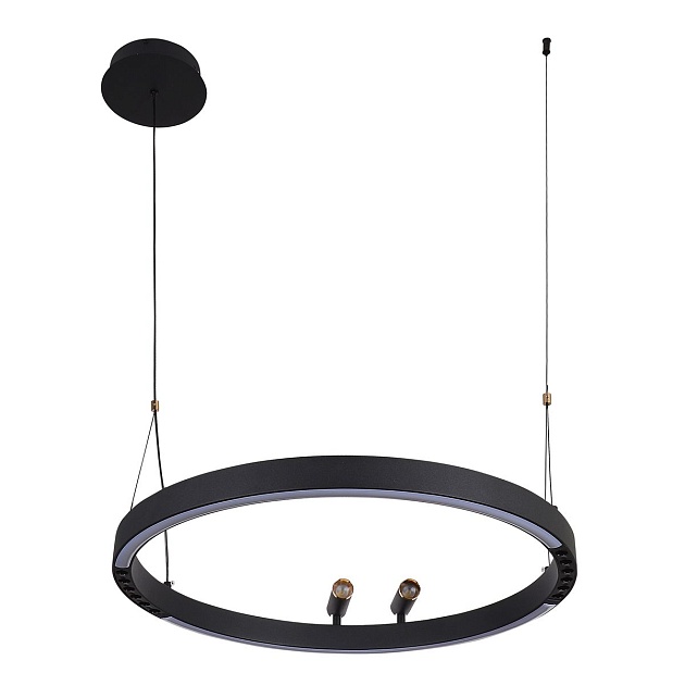 Подвесная светодиодная люстра F-Promo Slinga 4474-1P изображение 5 Подвесная светодиодная люстра F-Promo Slinga 4474-1P Фото № 5