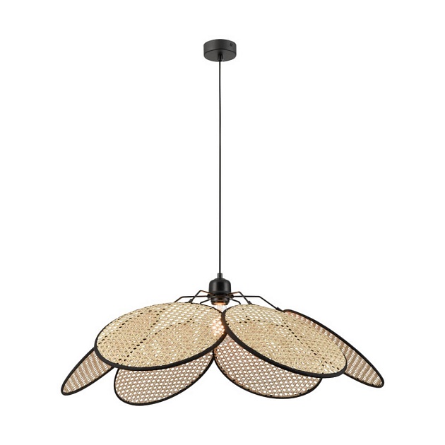 Подвесной светильник Wertmark PALMA WE520.01.716 Фото № 