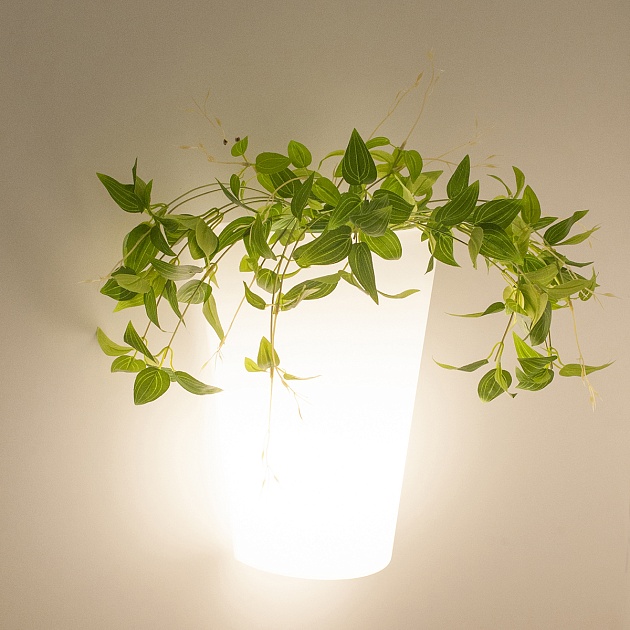 Уличный настенный светильник Mantra Teja 6508 изображение 5 Уличный настенный светильник Mantra Teja 6508 Фото № 5