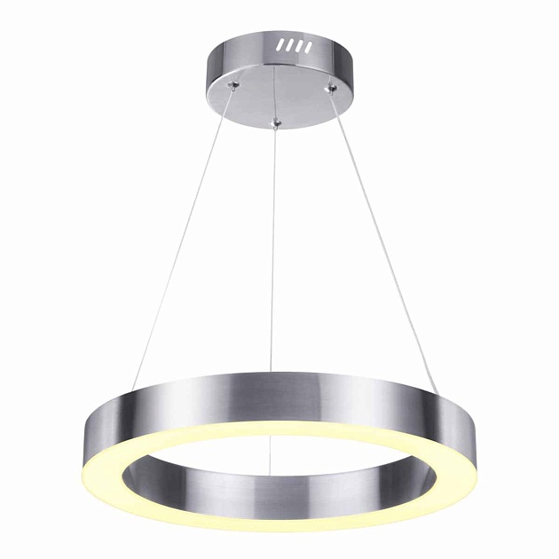 Подвесной светодиодный светильник Odeon Light L-vision Brizzi 4244/25L Фото № 3