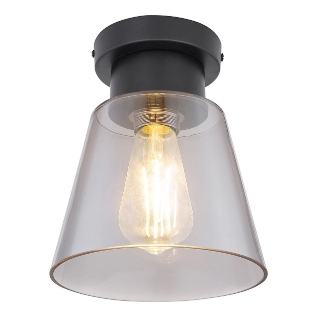 Потолочный светильник Globo Gumba 15561D Фото № 