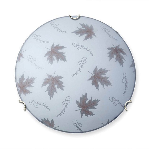 Настенно-потолочный светильник Vitaluce V6285/2A Фото № 