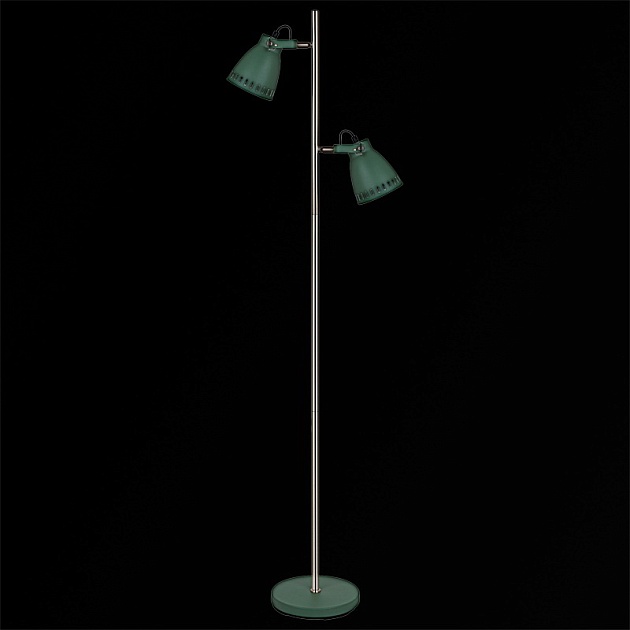 Торшер Reluce 03069-0.6-01A GN Фото № 