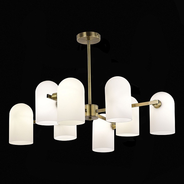 Подвесная люстра Evoluce Nobilia SLE1047-302-08 изображение 4 Подвесная люстра Evoluce Nobilia SLE1047-302-08 Фото № 4