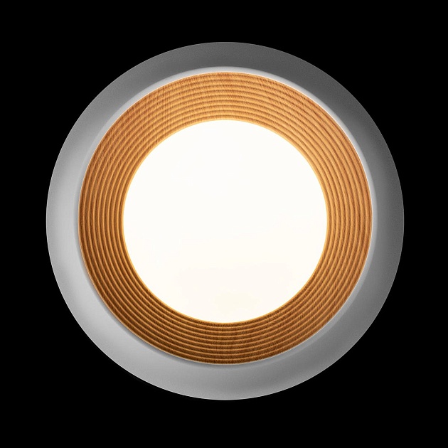 Потолочный светильник Loft IT Folk 10255/350 White Фото № 5