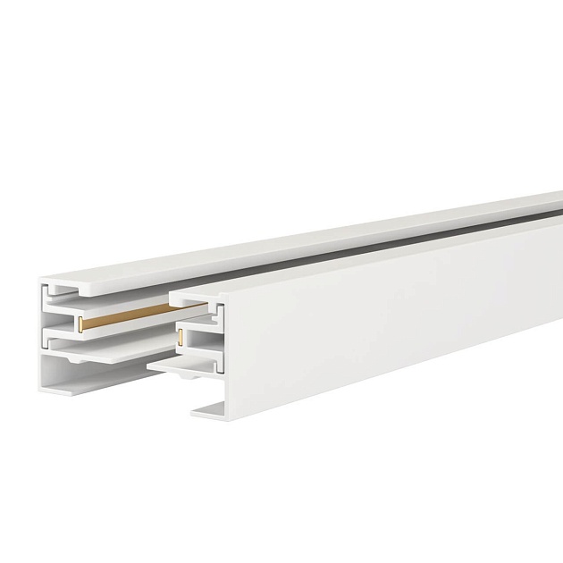 Шинопровод однофазный Maytoni Technical Busbar trunkings TRX001-113W изображение Шинопровод однофазный Maytoni Technical Busbar trunkings TRX001-113W Фото №