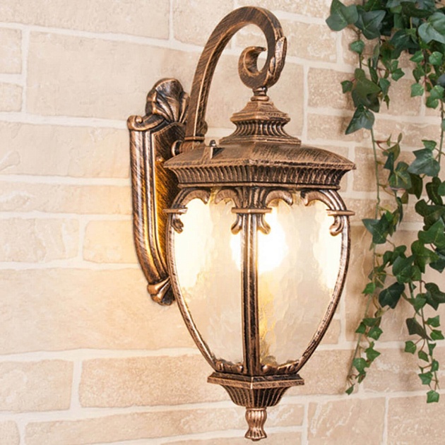 Уличный настенный светильник Elektrostandard Andromeda D (GLYF-8024D) a027996 Фото № 