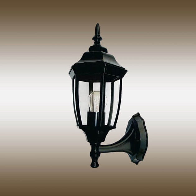 Уличный настенный светильник Globo Wall 31961 Фото № 