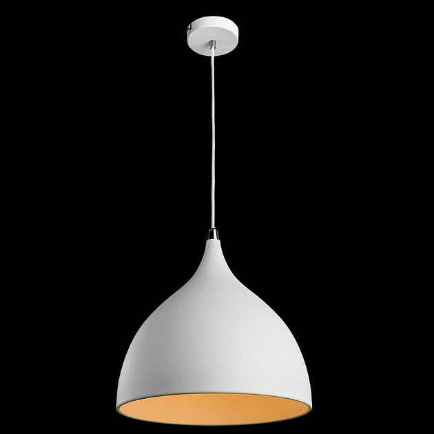 Подвесной светильник Arte Lamp 73 A9155SP-1WH Фото № 2