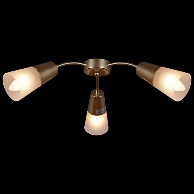 Потолочная люстра Reluce 01266-0.3-03B GOLD Фото № 4