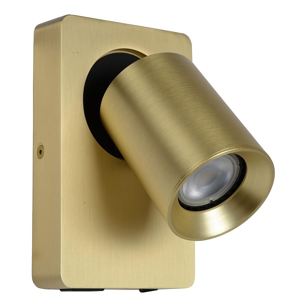 Спот Lucide Nigel 09929/06/02 Фото № 