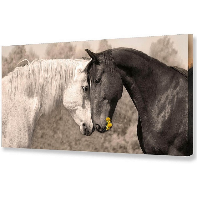 Холст Toplight 50х100х3см TL-H0018 Фото № 