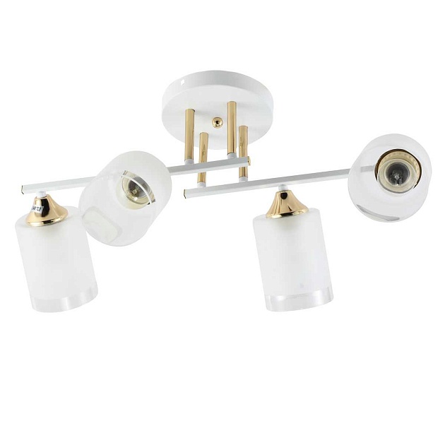 Потолочная люстра Rivoli Georgiana 9144-203 Б0055878 изображение Потолочная люстра Rivoli Georgiana 9144-203 Б0055878 Фото №