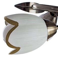 Потолочная люстра Arte Lamp 4 A6061PL-4AB 3