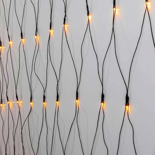 Светодиодная гирлянда Eglo GOLDEN WARM WHITE 411525 изображение Светодиодная гирлянда Eglo GOLDEN WARM WHITE 411525 Фото №