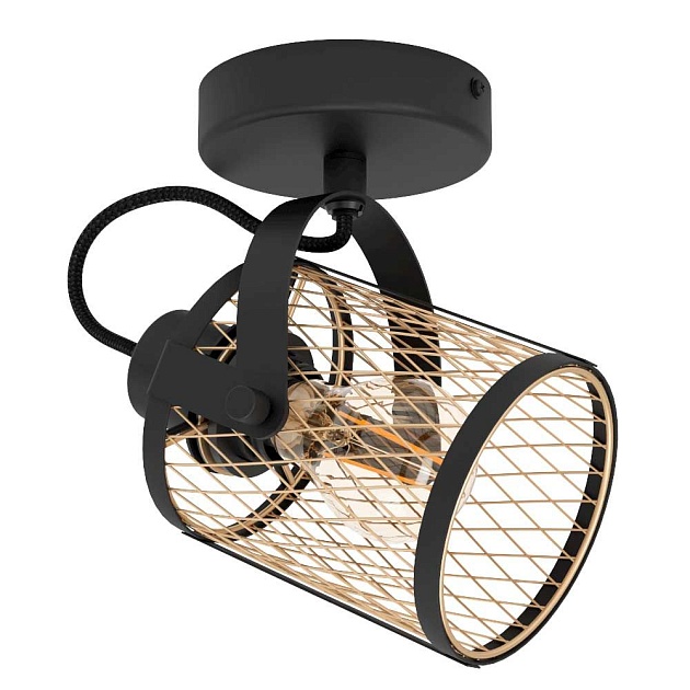 Спот Eglo Dellow 43531 Фото № 