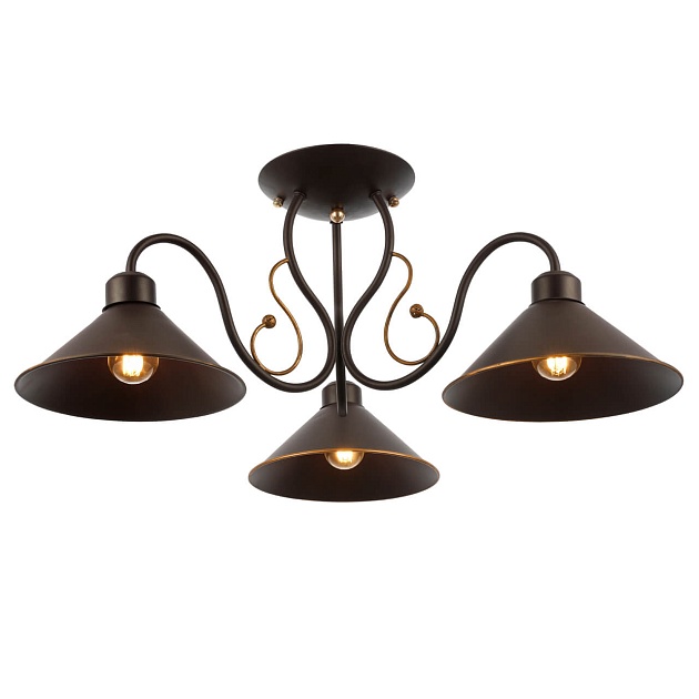 Потолочная люстра Evoluce Ciolla SLE120402-03 изображение 3 Потолочная люстра Evoluce Ciolla SLE120402-03 Фото № 3