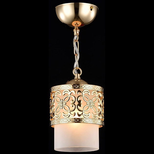 Подвесной светильник Freya Teofilo FR2200-PL-01-G Фото № 2