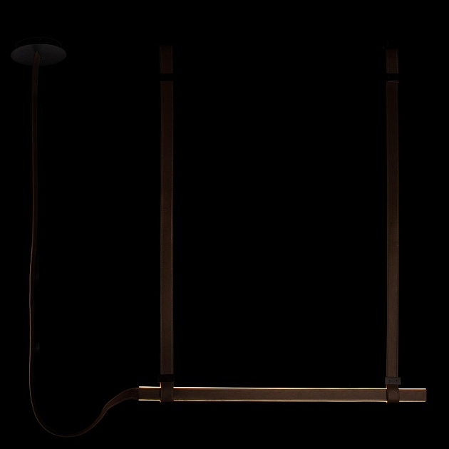 Подвесной светодиодный светильник Loft IT Strong 10241/1200 изображение 8 Подвесной светодиодный светильник Loft IT Strong 10241/1200 Фото № 8